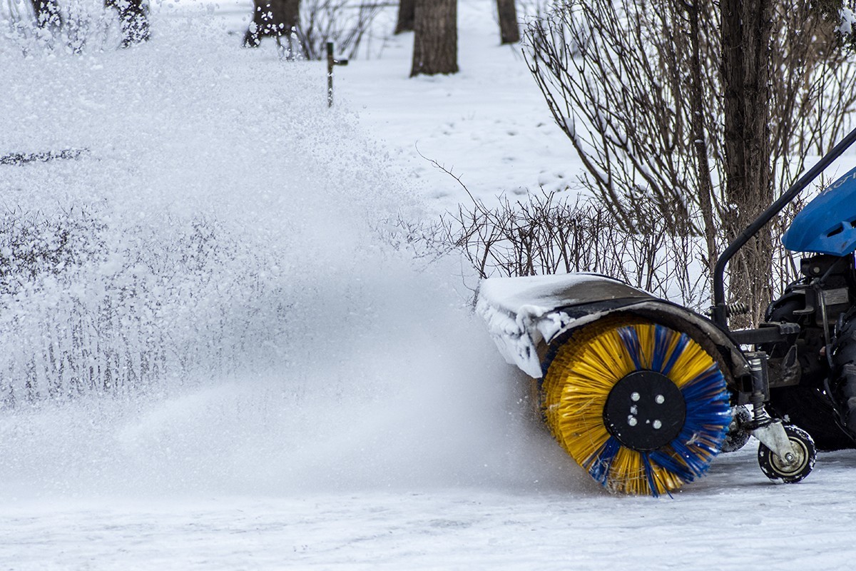 2504 惊蛰遇上雪纷纷