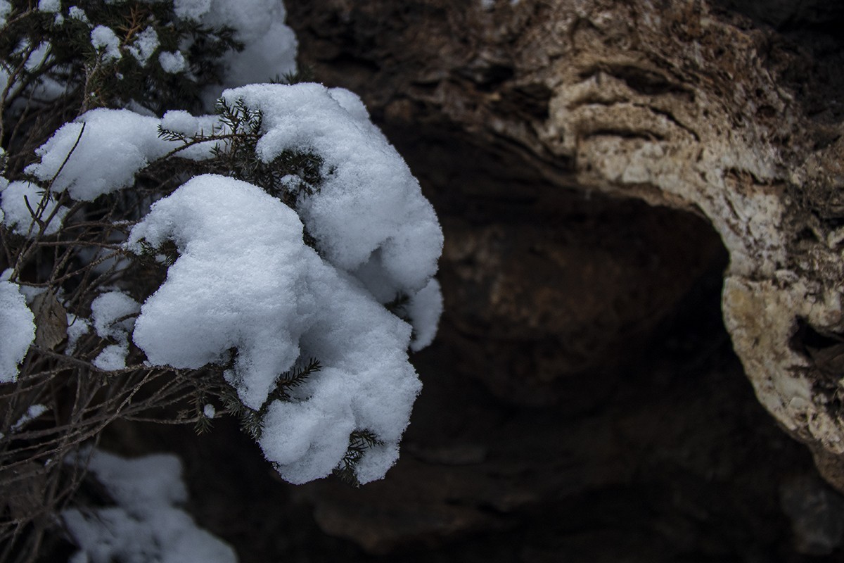 2504 惊蛰遇上雪纷纷