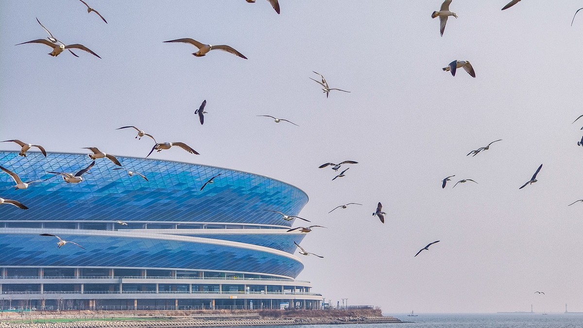 大 连 的 海 ------ 250227 钻 石 湾