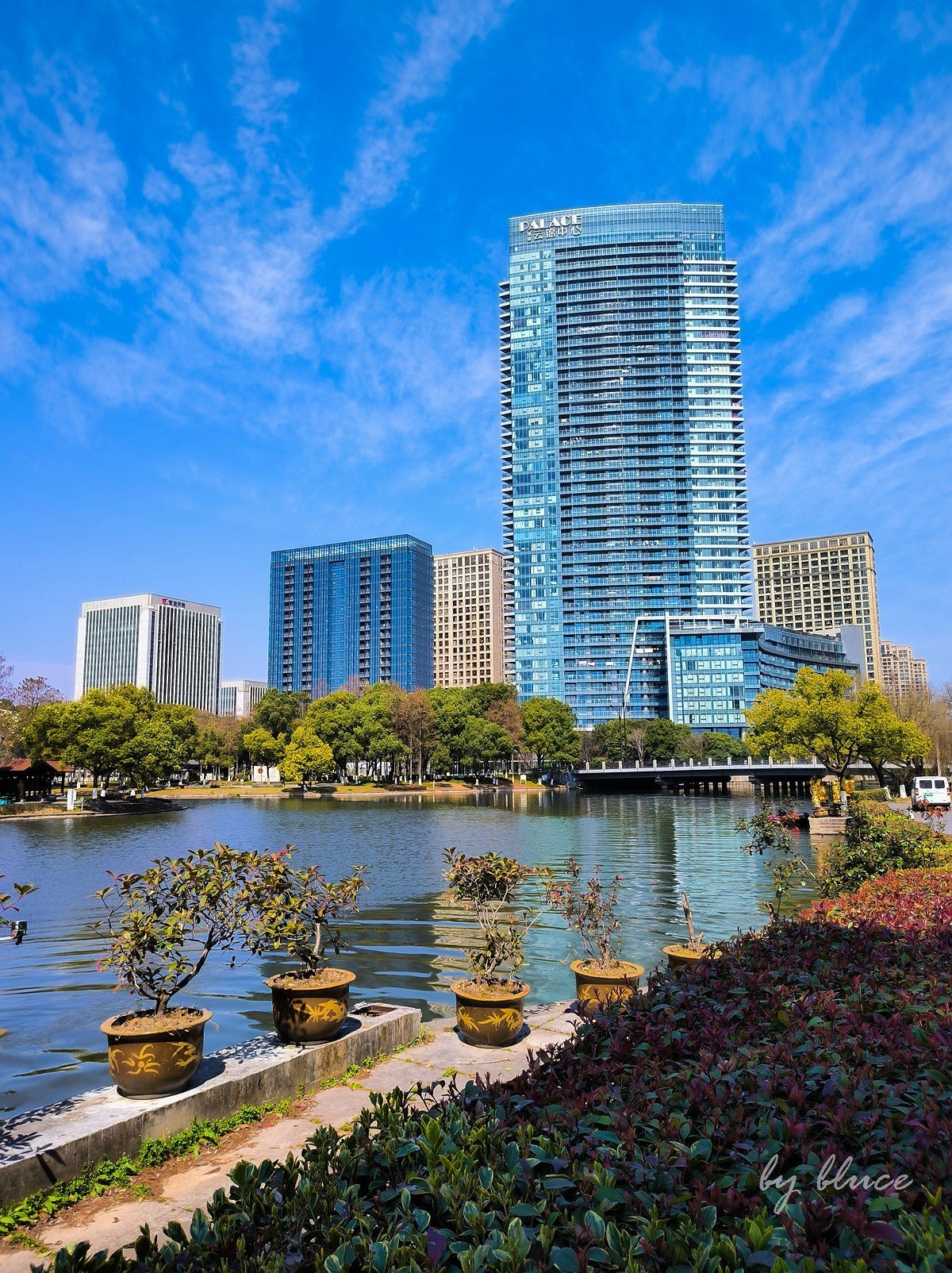 春意盎然（续3）