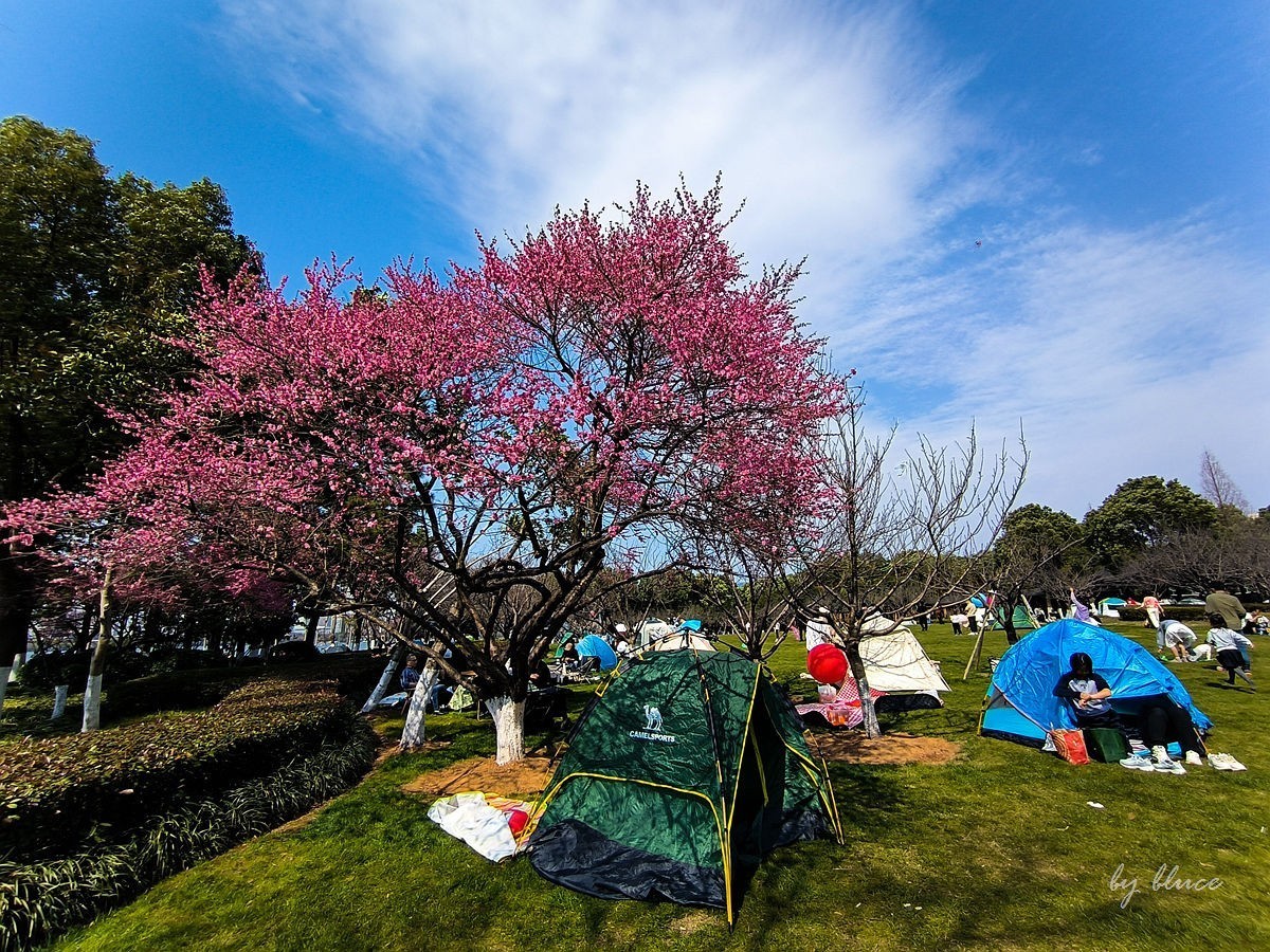 春意盎然（续3）