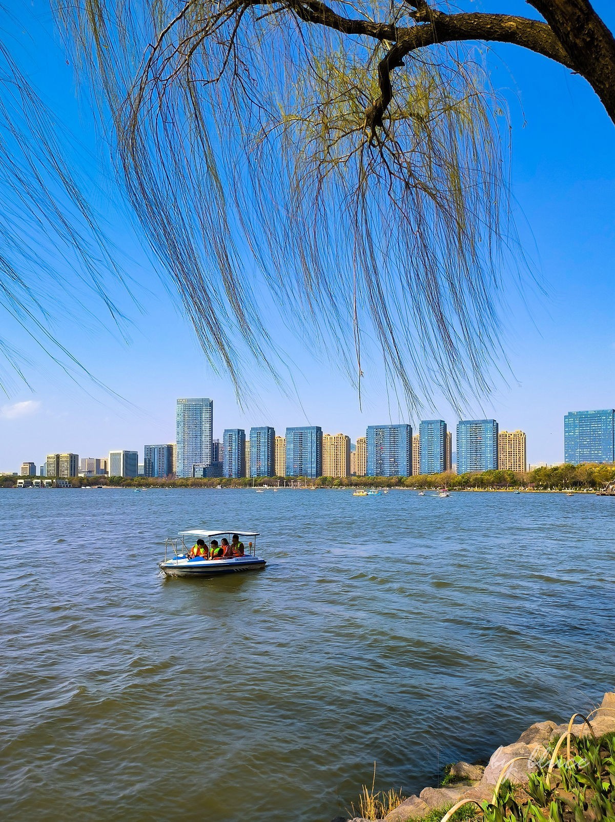 春意盎然（续3）