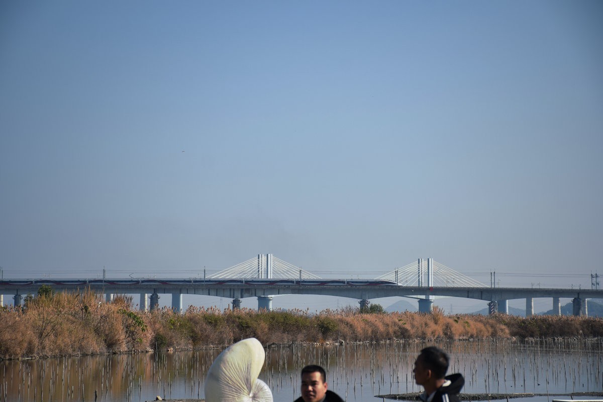 2025春节 广东行（80）长沙古炮台