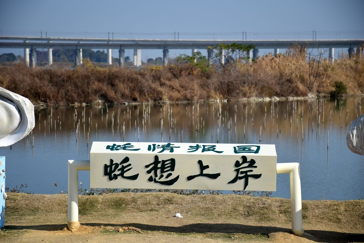 2025春节 广东行（81）汕尾长沙村