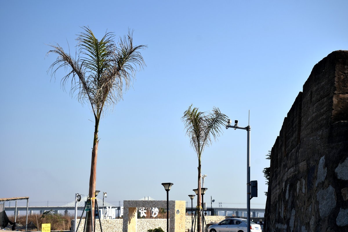 2025春节 广东行（81）汕尾长沙村