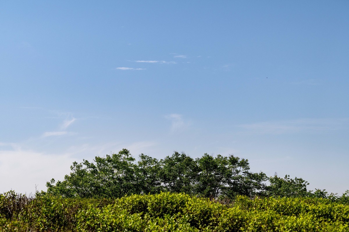 庐州印象（455）白馬山國家籃球公園