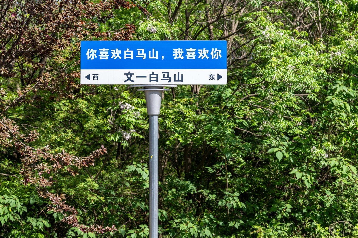 庐州印象（455）白馬山國家籃球公園