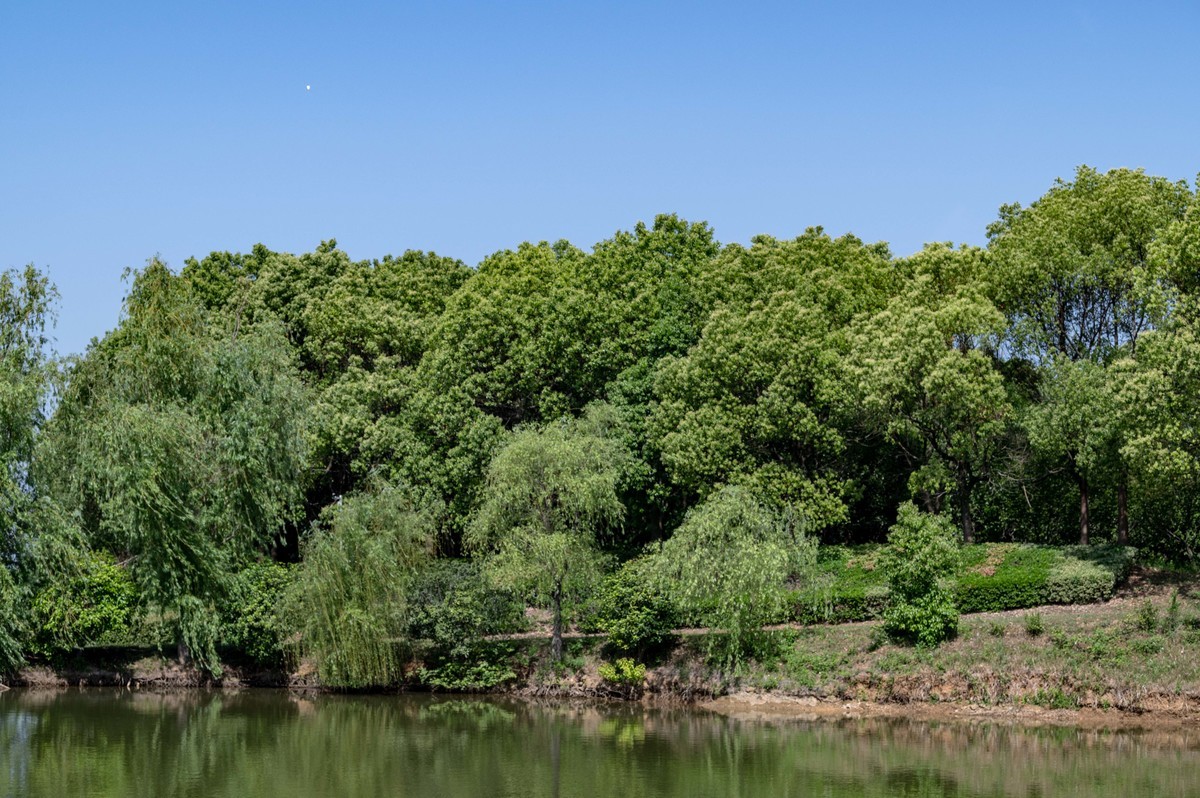 庐州印象（455）白馬山國家籃球公園