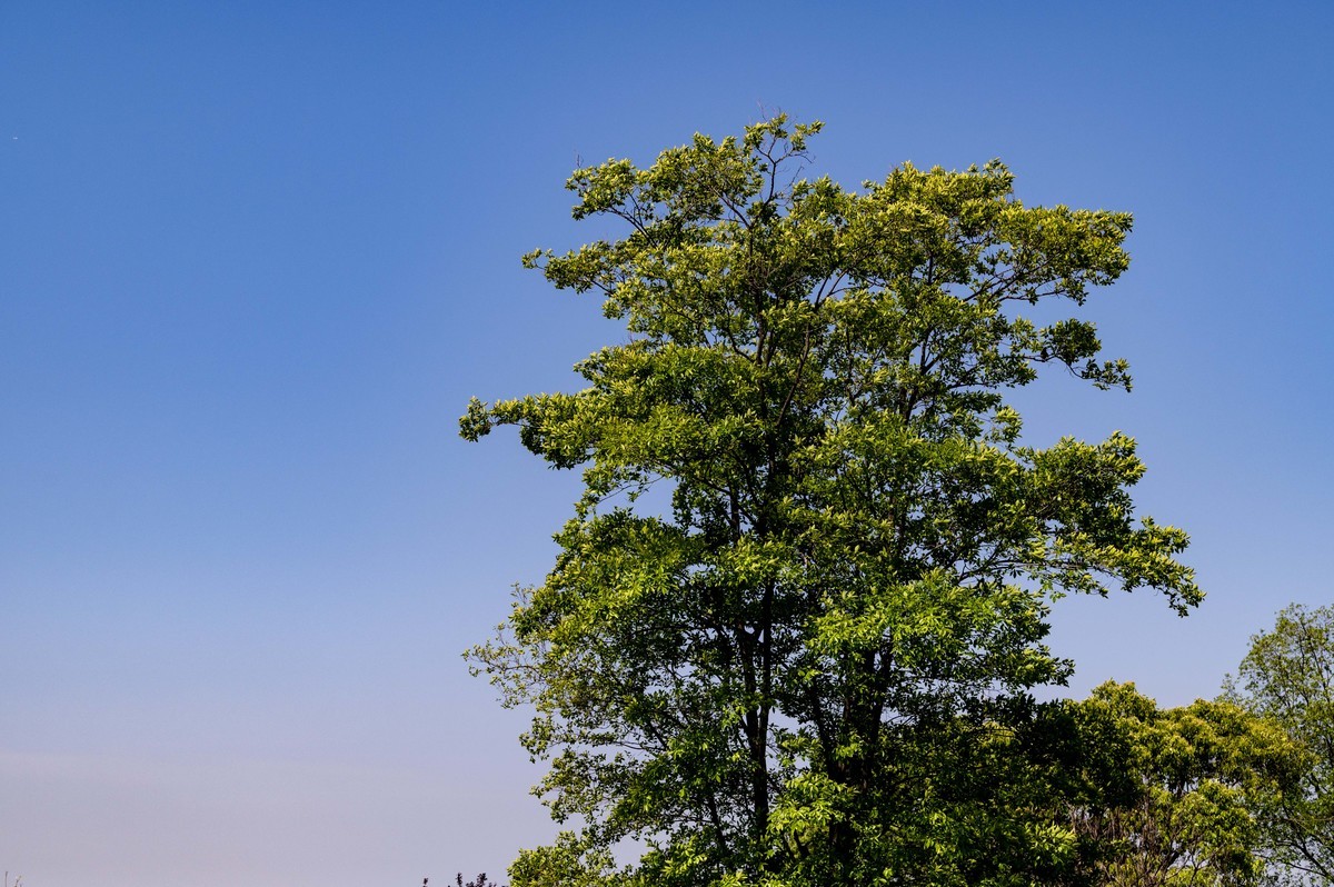 庐州印象（455）白馬山國家籃球公園
