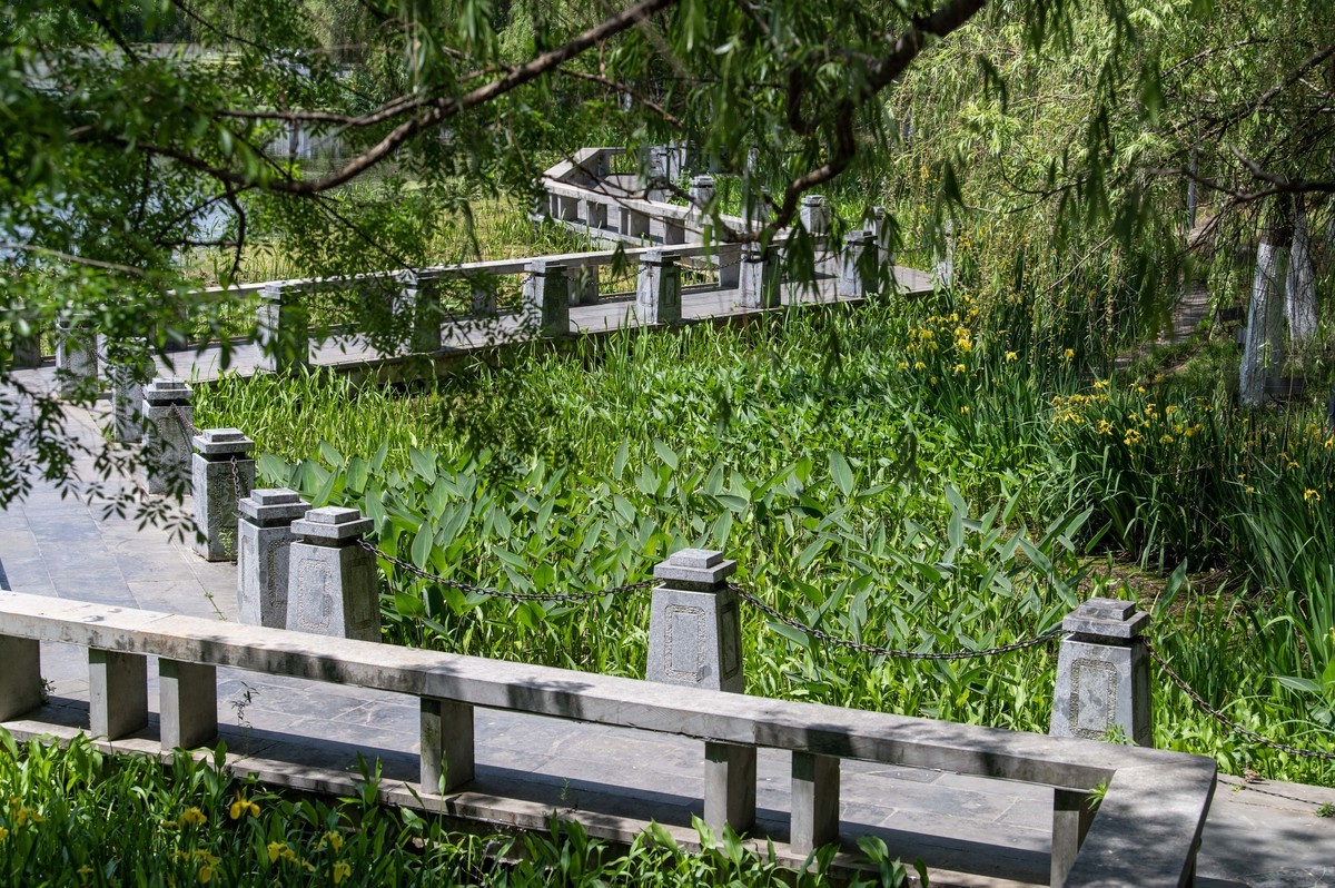 庐州印象(456)长临河古镇