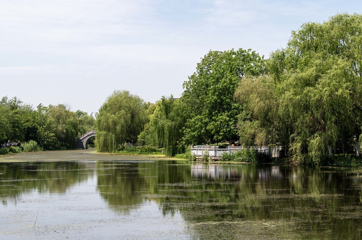 庐州印象(456)长临河古镇
