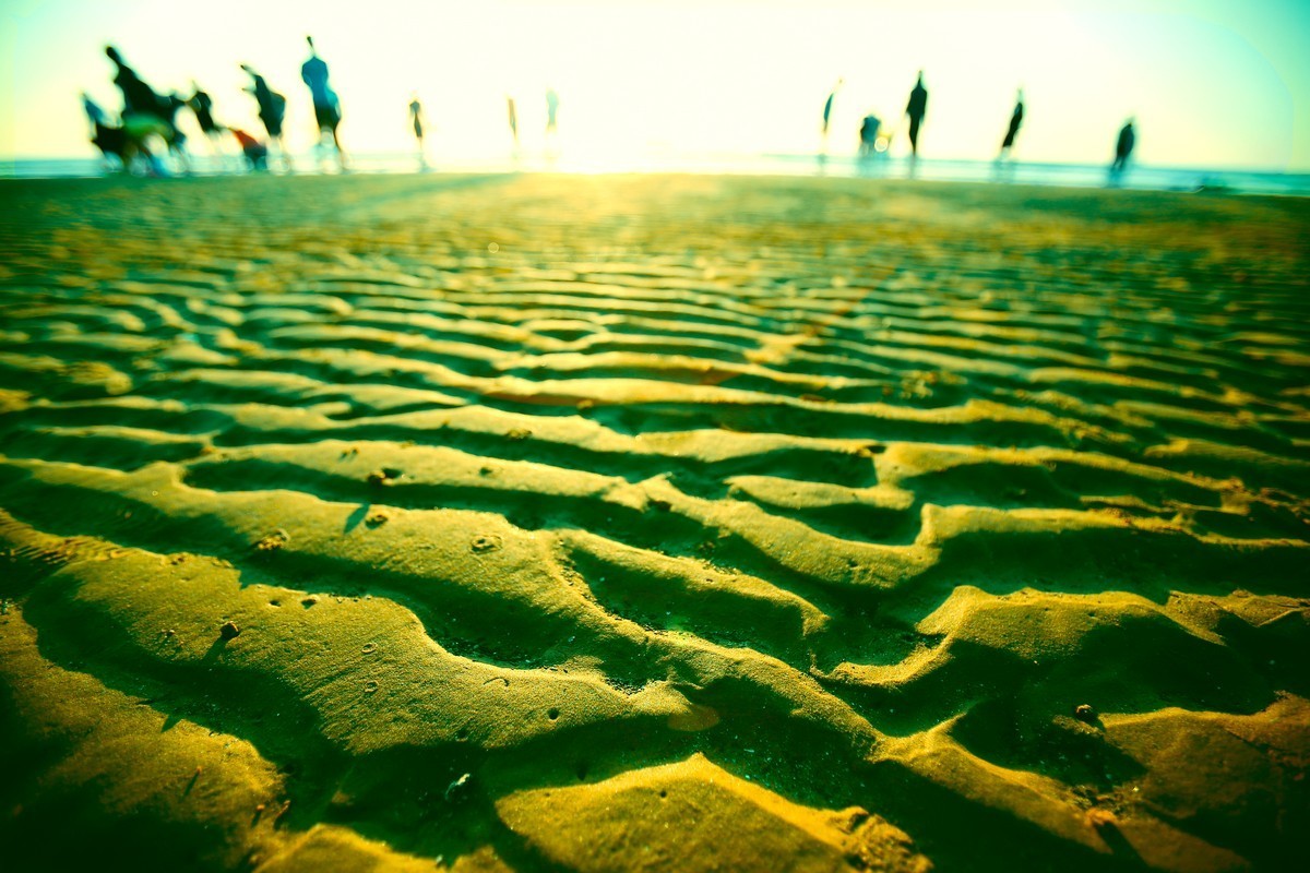 出不了门，练练调色