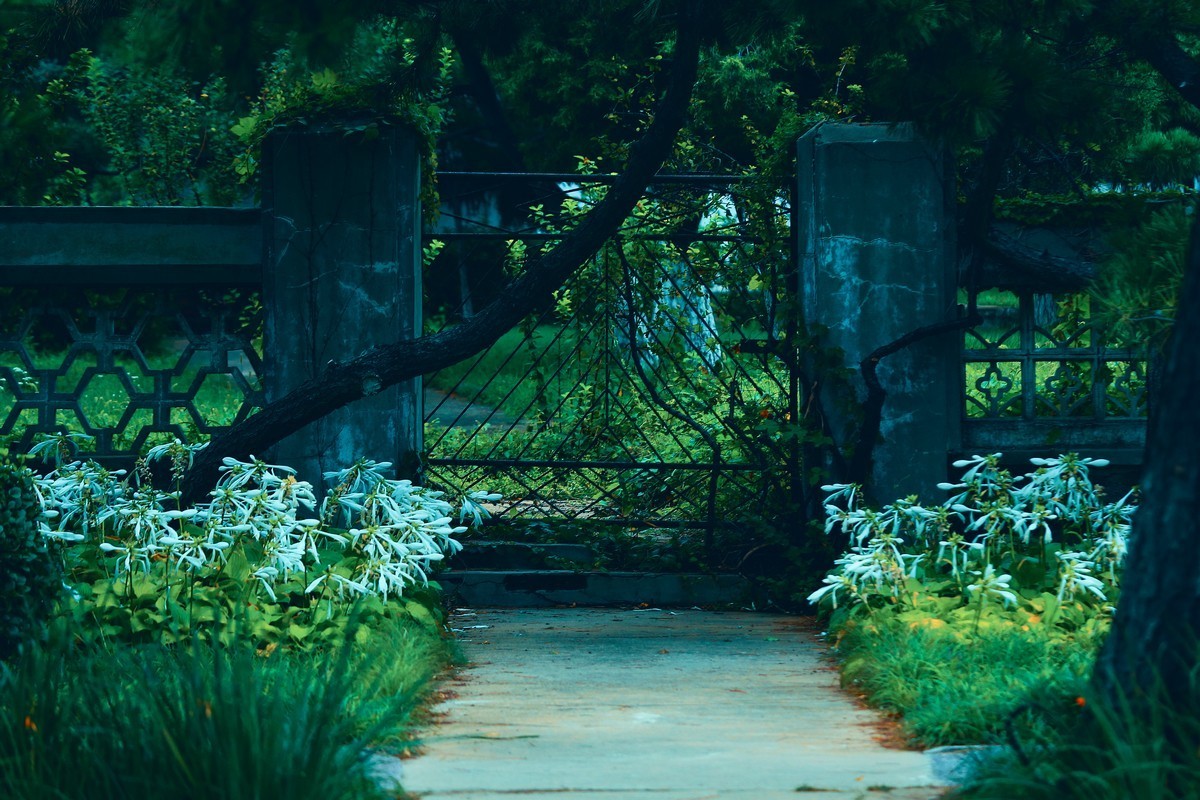 出不了门，练练调色