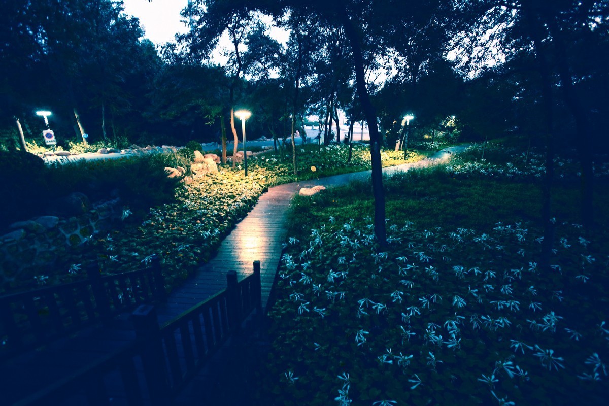 出不了门，练练调色