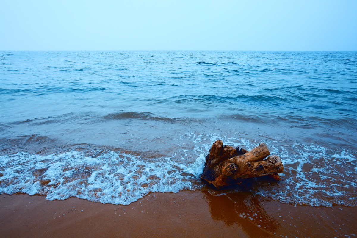 出不了门，练练调色