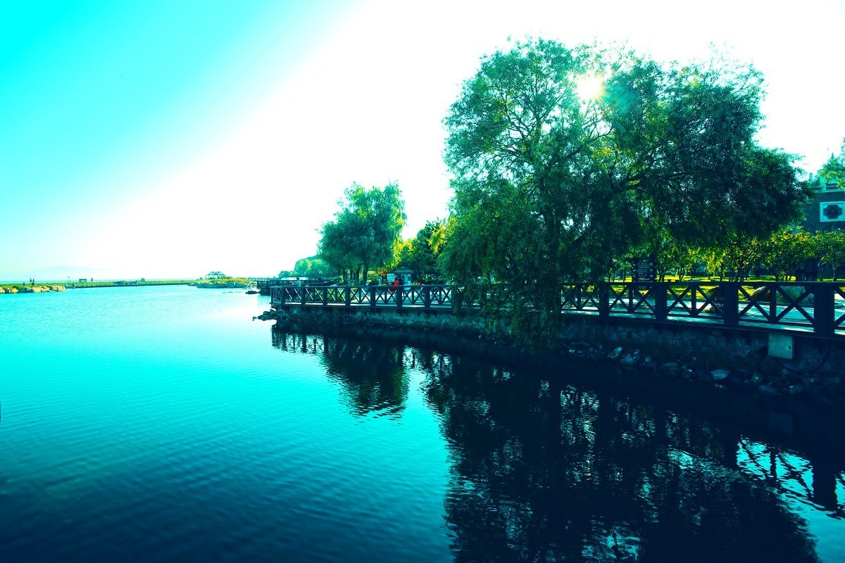 出不了门，练练调色