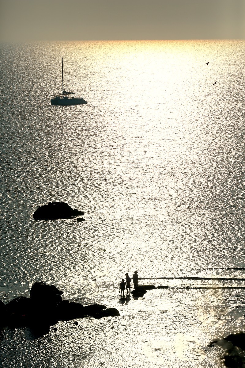 出不了门，练练调色