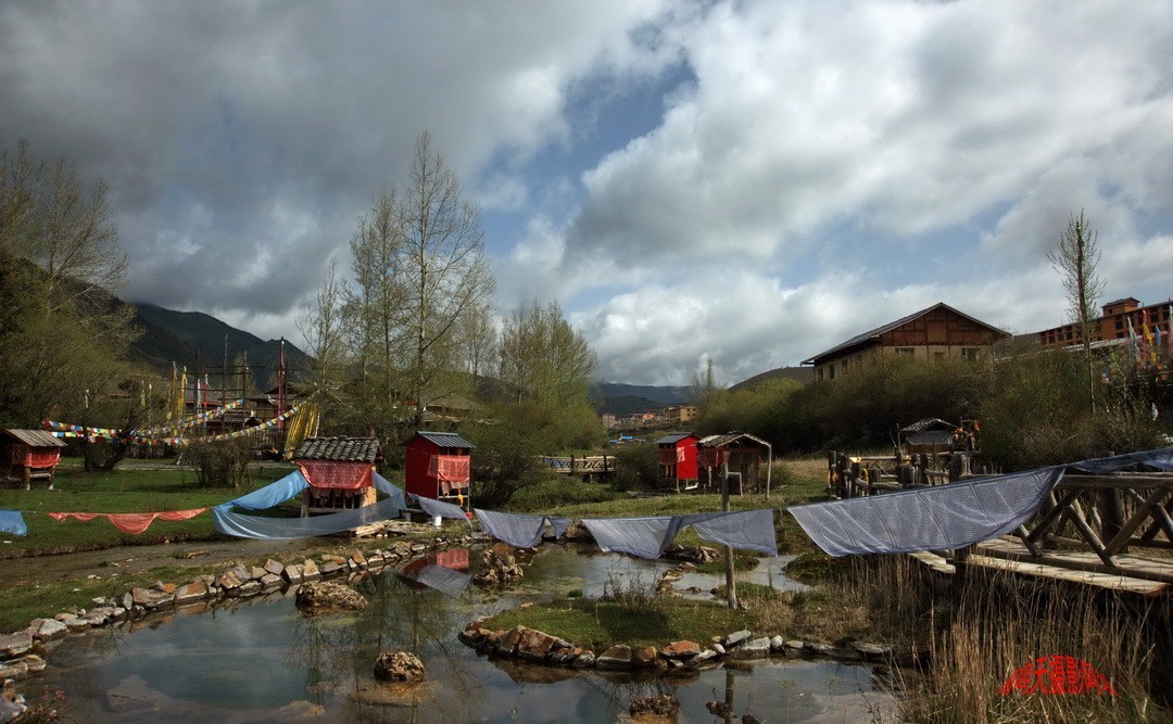 2022年5月爱情海、       周鸣天