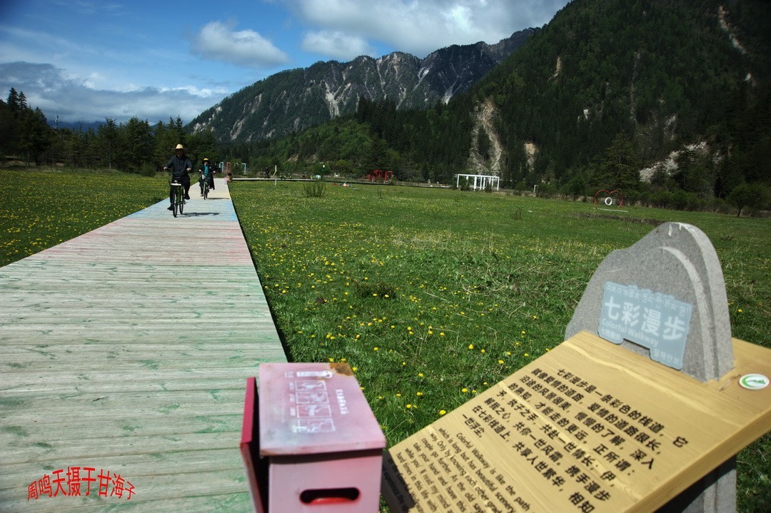 2022年5月爱情海、       周鸣天