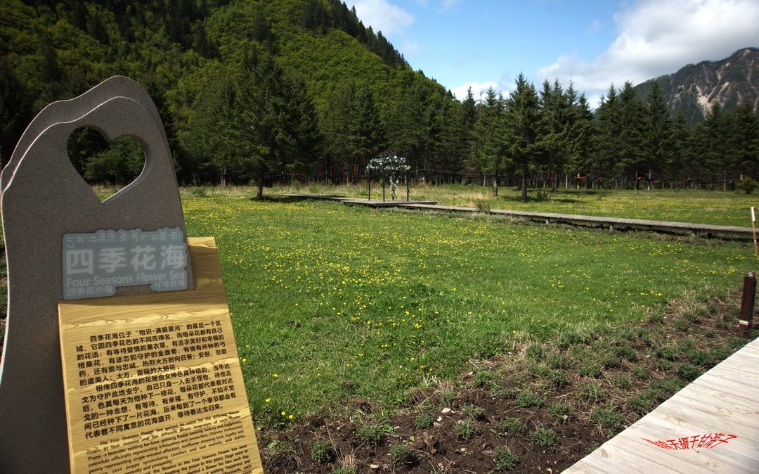 2022年5月爱情海、       周鸣天