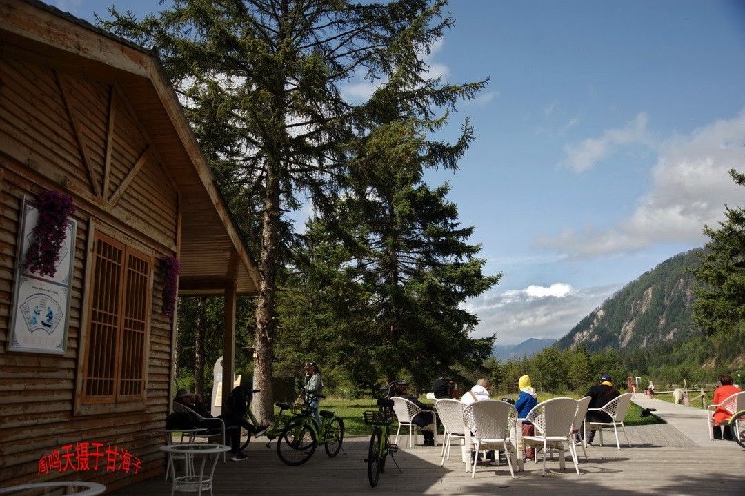 2022年5月爱情海、       周鸣天