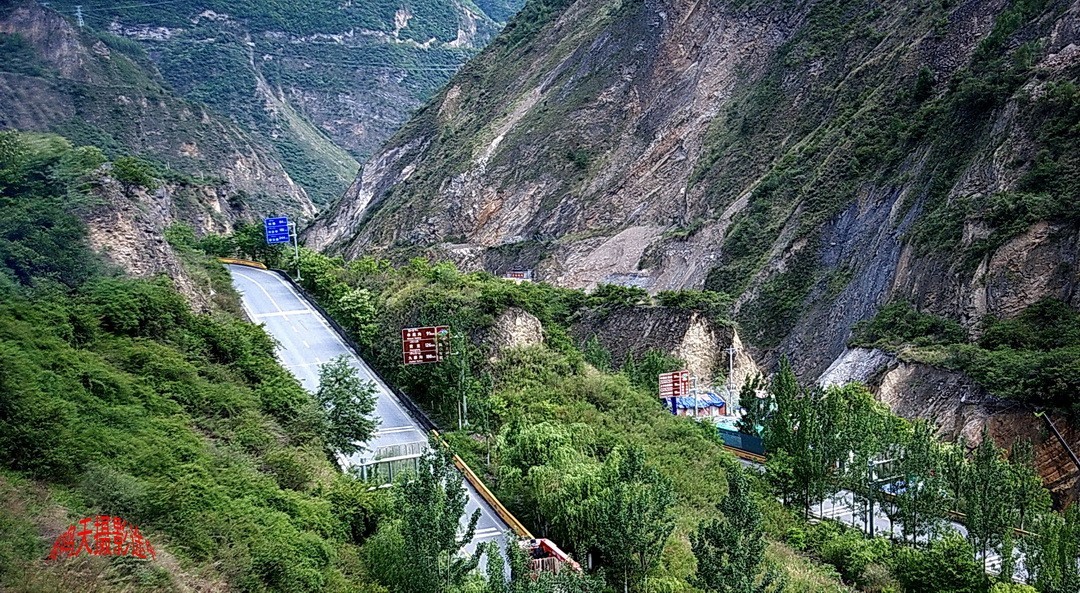 2022年5月爱情海、       周鸣天