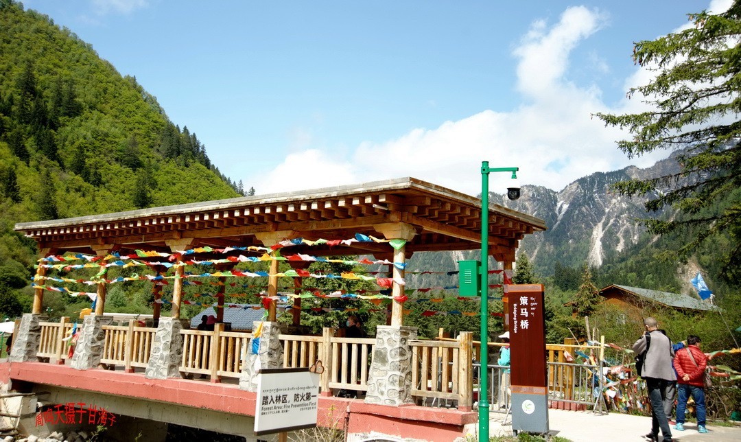 2022年5月爱情海、       周鸣天