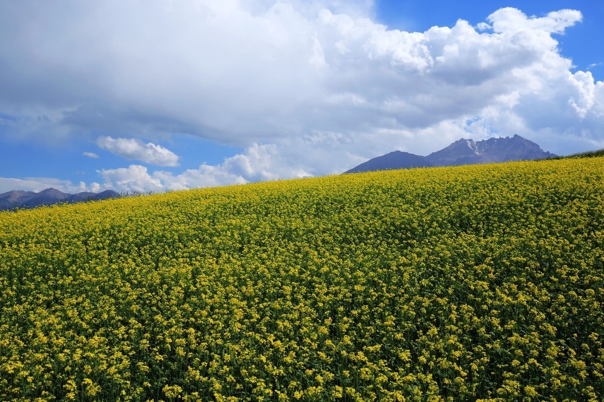 中关村在线摄影论坛