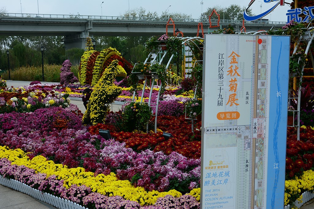 武汉市第三十九届金秋菊展
