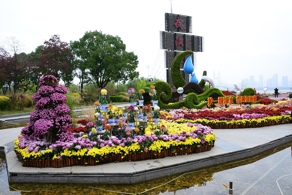 武汉市第三十九届金秋菊展