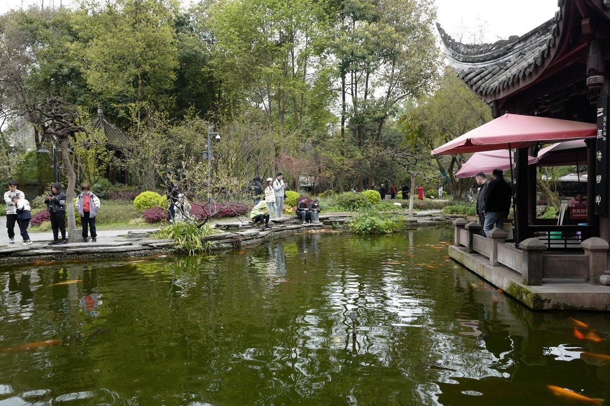 成都之行——人民公园（17）