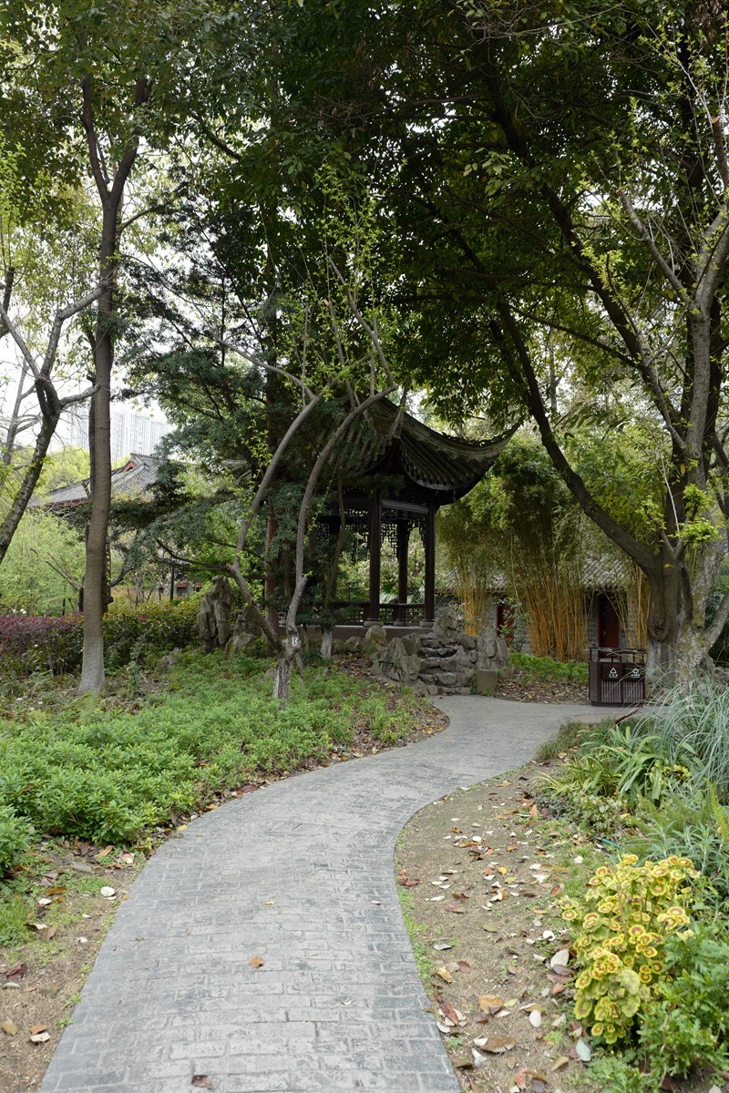 成都之行——人民公园（17）