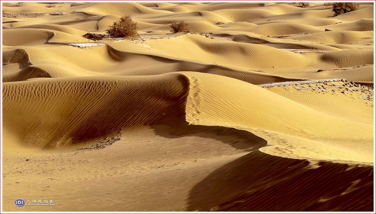 2024-（033）塔克拉玛干沙漠（四）