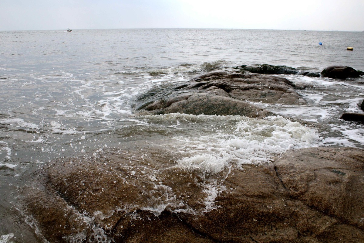 2024年拍海边老虎石