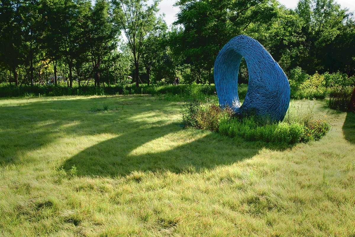 湿地公园场景随拍