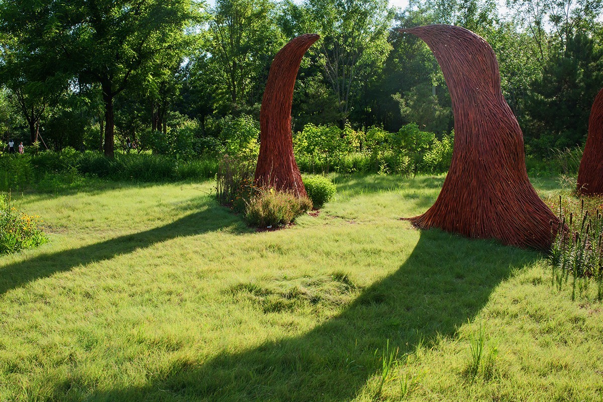 湿地公园场景随拍