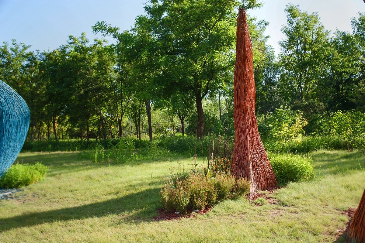 湿地公园场景随拍