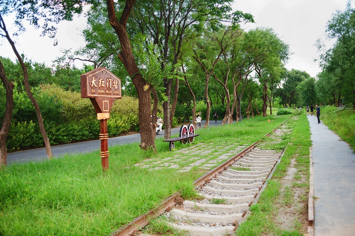 湿地公园场景随拍