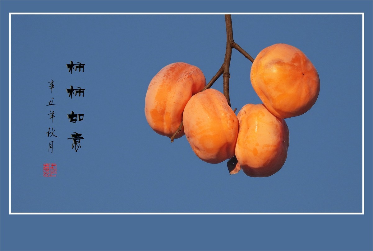 事事如意寓意的大柿子