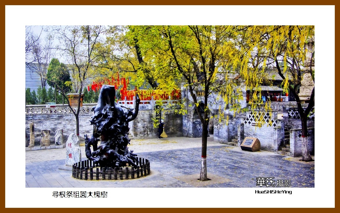 2020西西南北行游走山西101——寻根祭祖园大槐树（临汾市洪洞县）