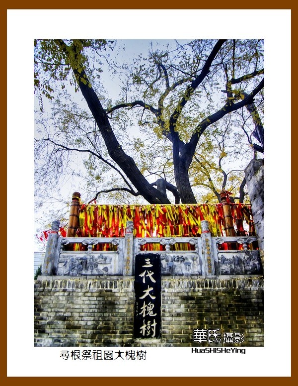 2020西西南北行游走山西101——寻根祭祖园大槐树（临汾市洪洞县）