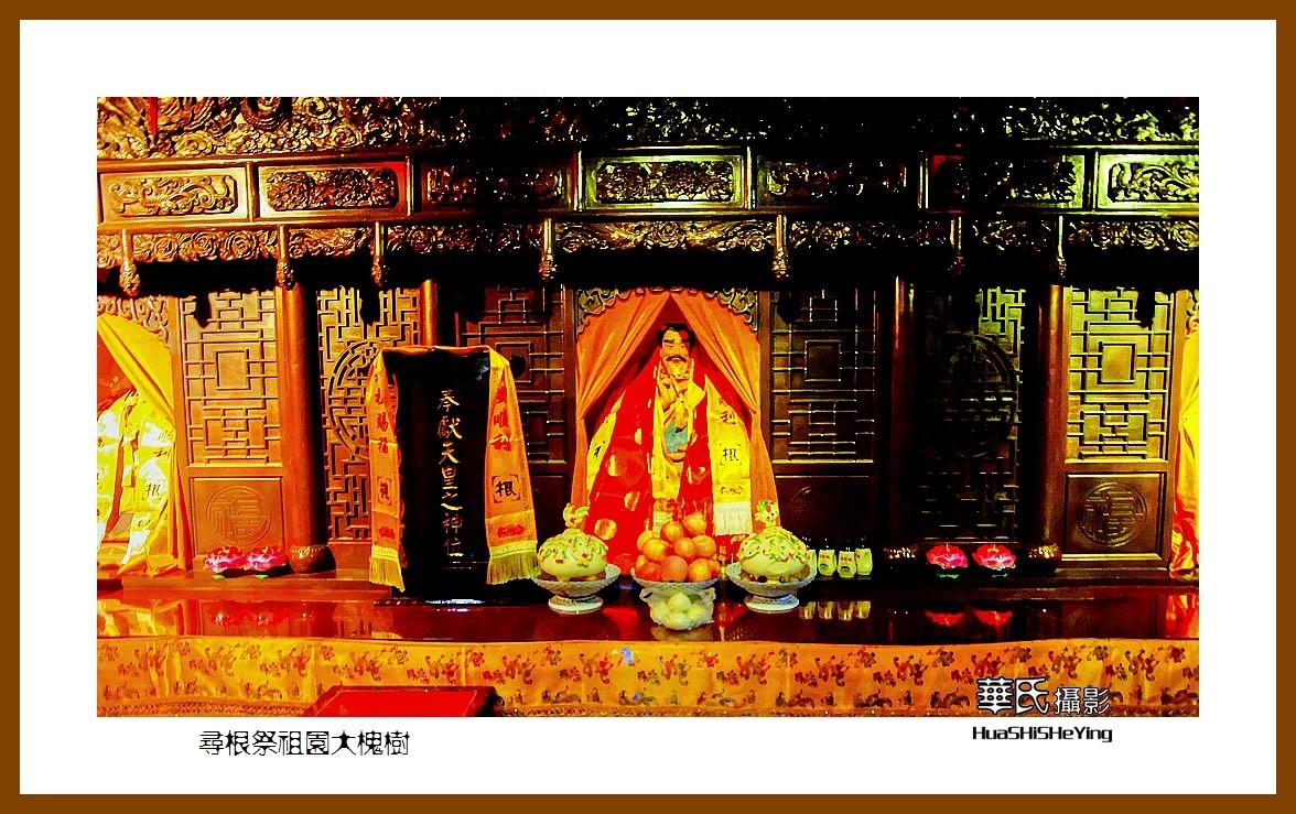 2020西西南北行游走山西101——寻根祭祖园大槐树（临汾市洪洞县）