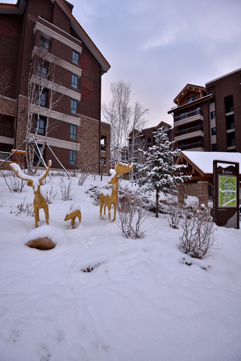 翠云山奥雪小镇---滑雪1/5