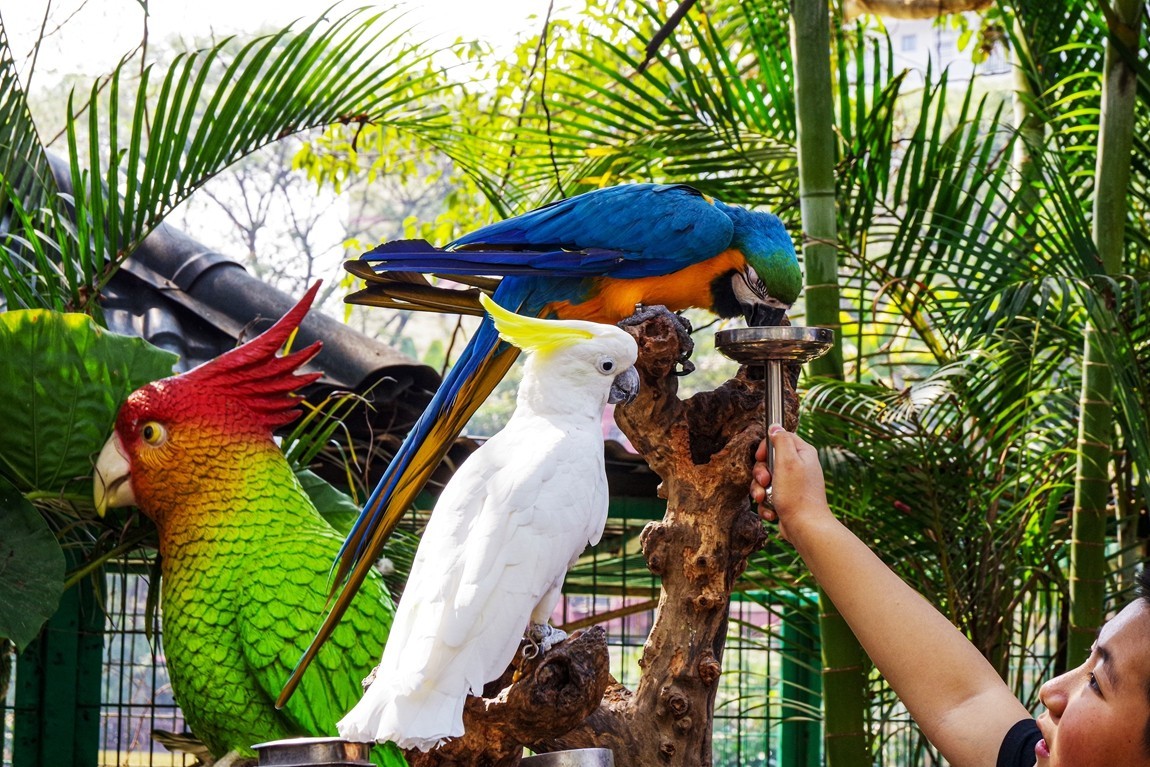 西双版纳--曼听公园【4】