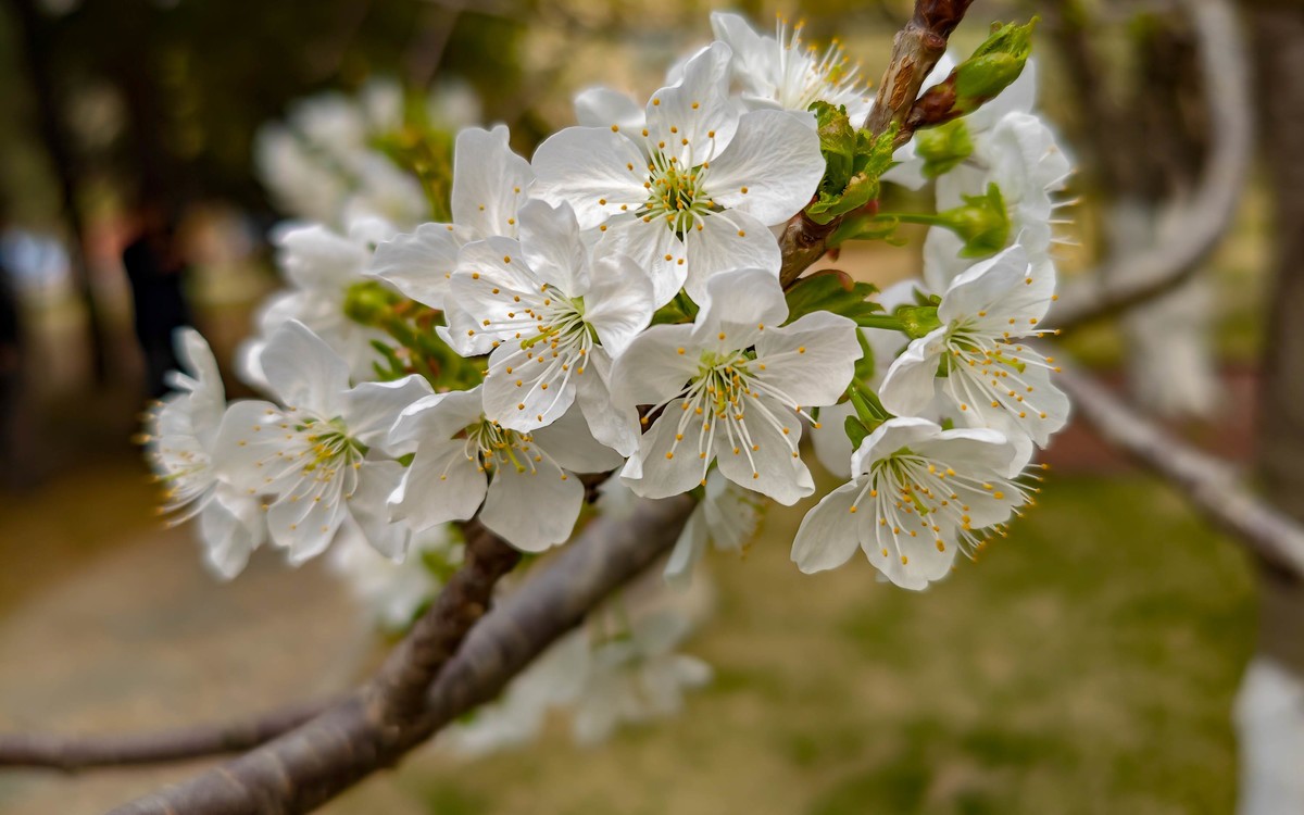 手机随拍20230401《14》