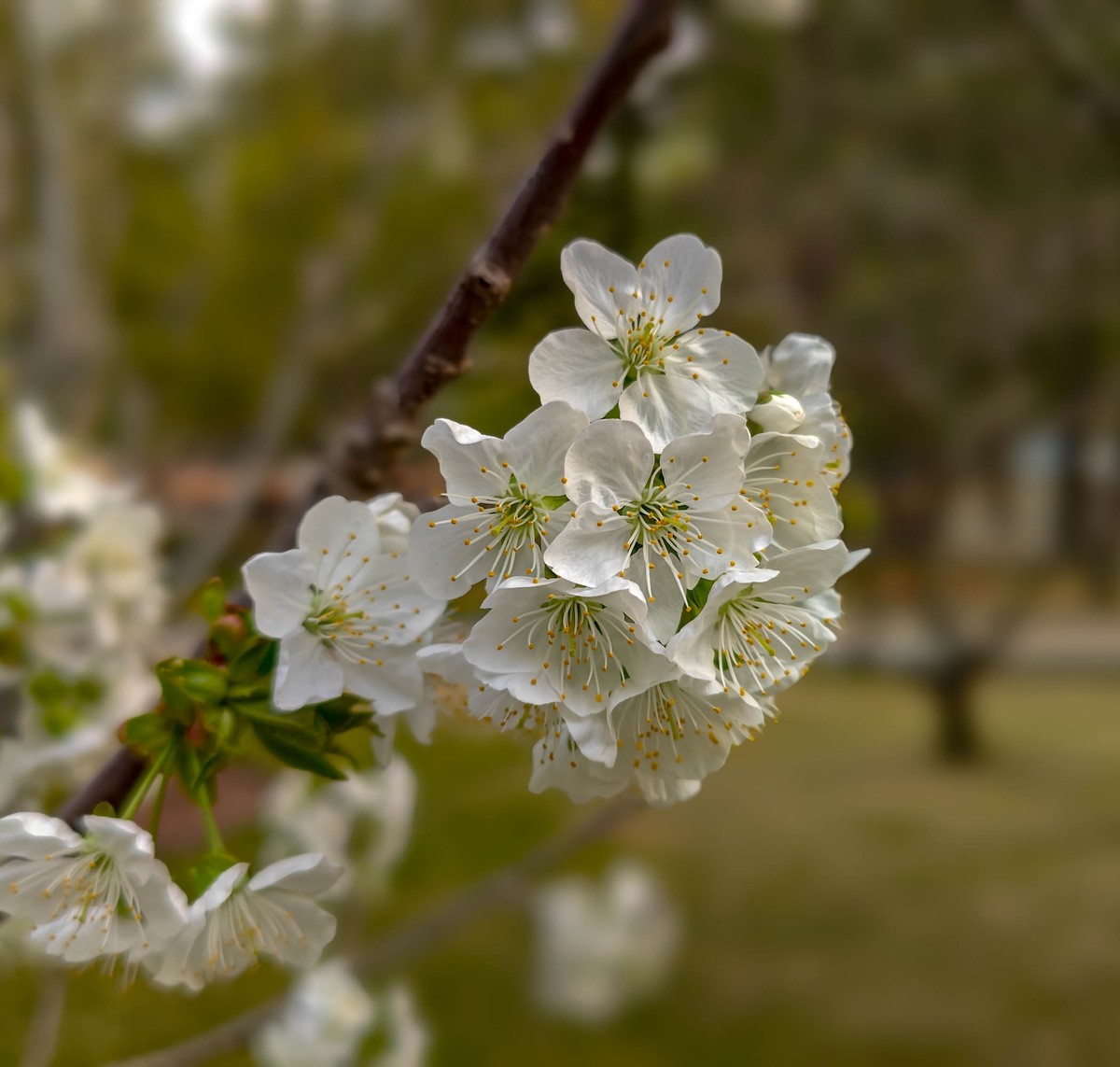 手机随拍20230401《14》