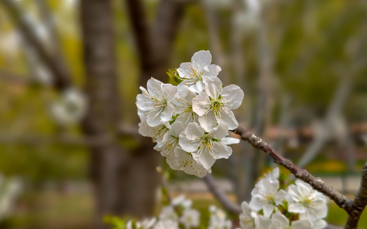 手机随拍20230401《14》