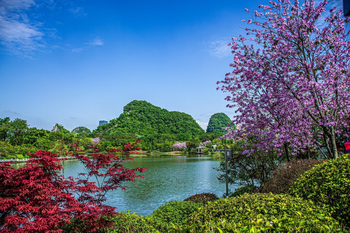 春天花开的时候