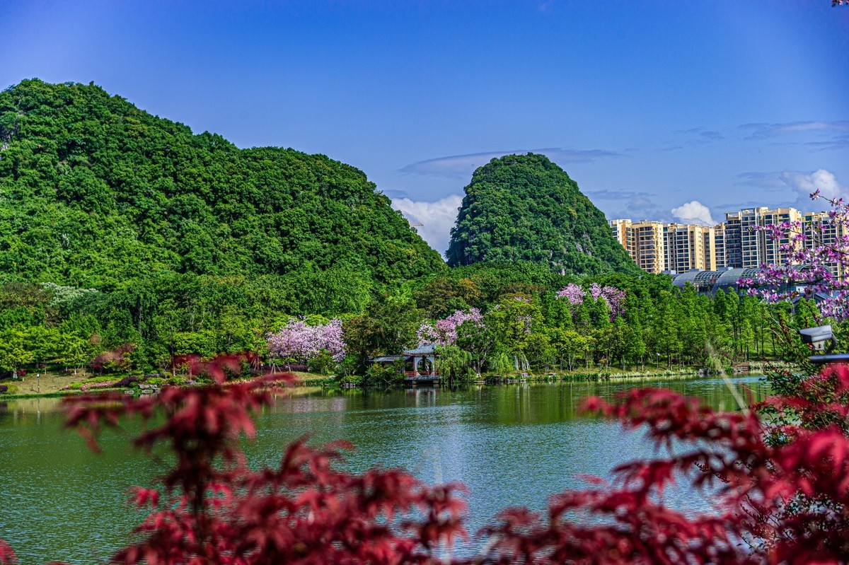 春天花开的时候