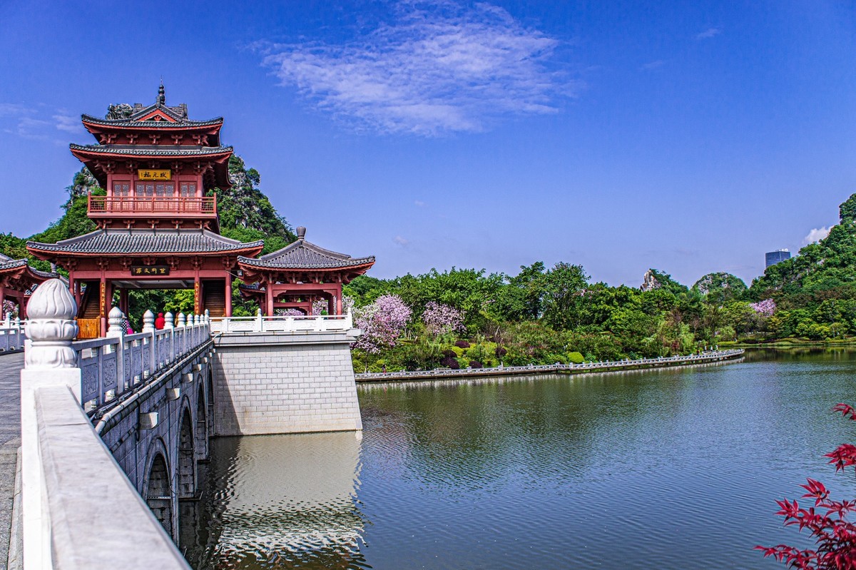 春天花开的时候